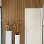 Design Vue Panoramique *